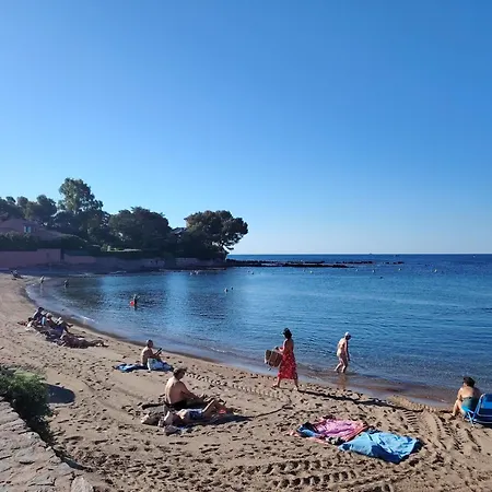 Coin De Paradis Peguiere Saint-Raphaël